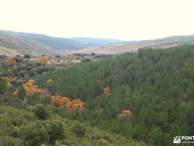 La Muralla China Guadalajara; senderismo en girona cerezos en flor puerto de cotos rutas sierra madr